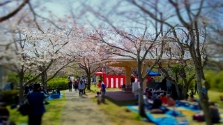 120408_122152.jpg
